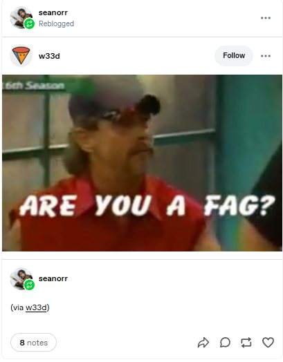 Are you a fag