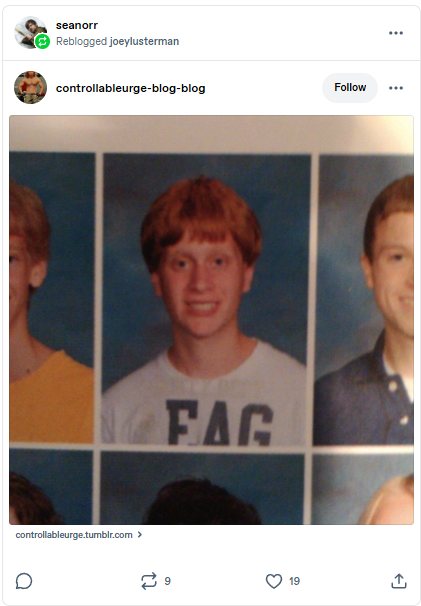 Are you a fag