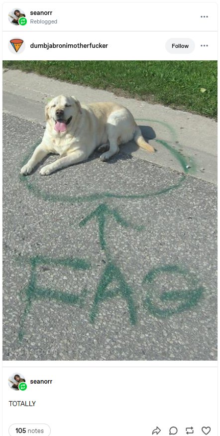 Post calling a dog a fag
